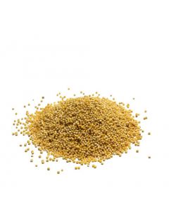 Millet Bulk, Sprouted, Organic