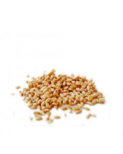 Oats Bulk, Sprouted, Organic