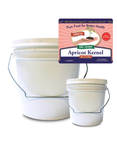 Apricot Kernel Butter Bulk, Sprouted, Organic