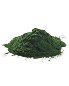 Chlorella Powder, Organic 4 oz